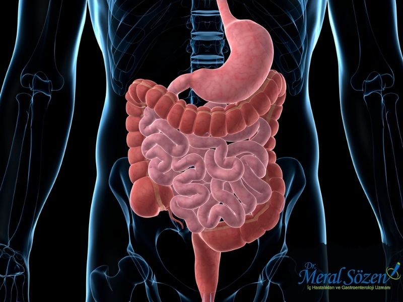 karin-agrisinin-nedenleri