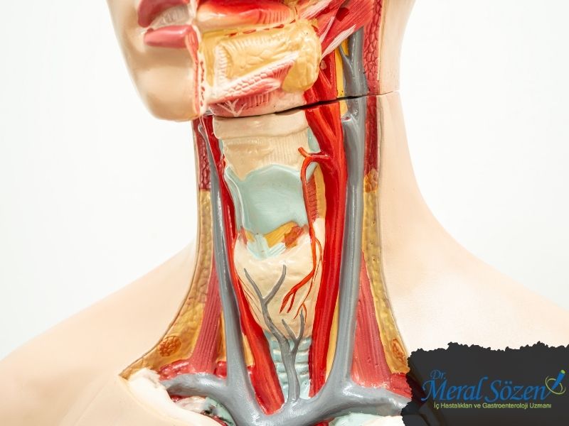 yutma-guclugu-kanser-belirtisi-midir