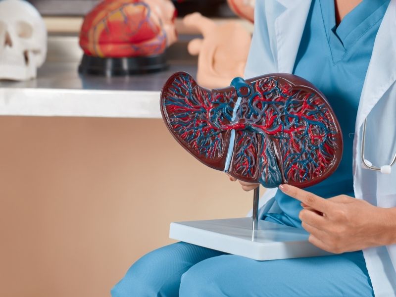 karaciger-enzim-yuksekligi-nasil-degerlendirilir