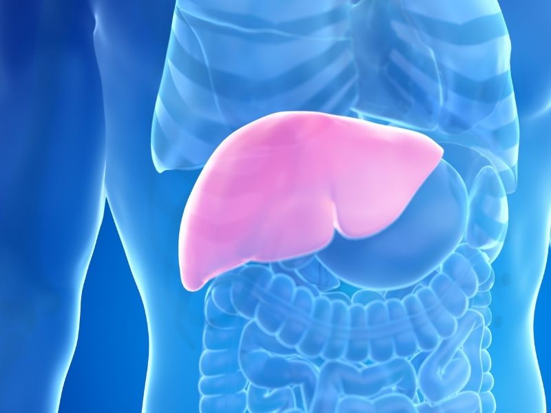 karaciger-kisti-tanisi