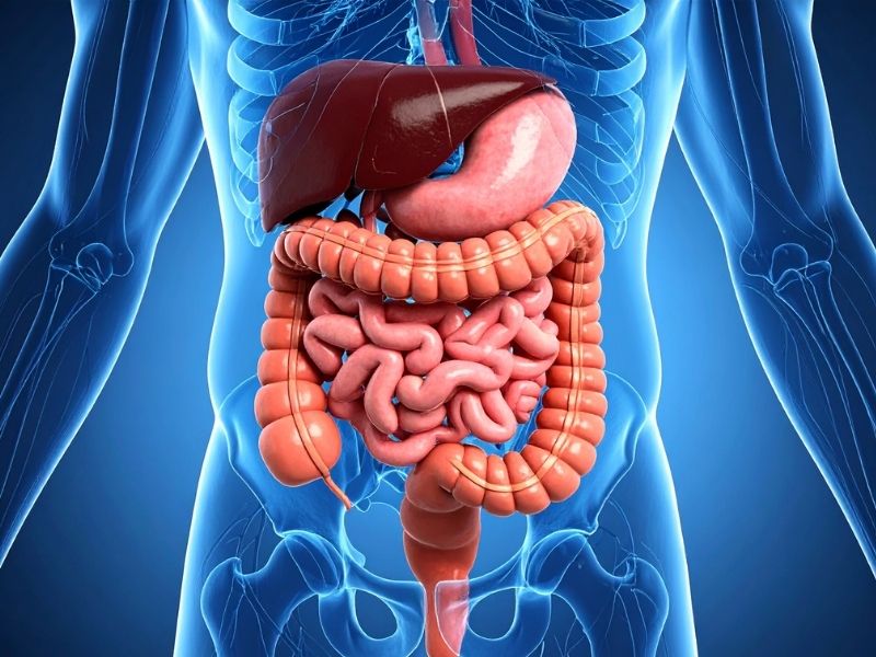 endoskopi-oncesi-hangi-tahliller-yapilir